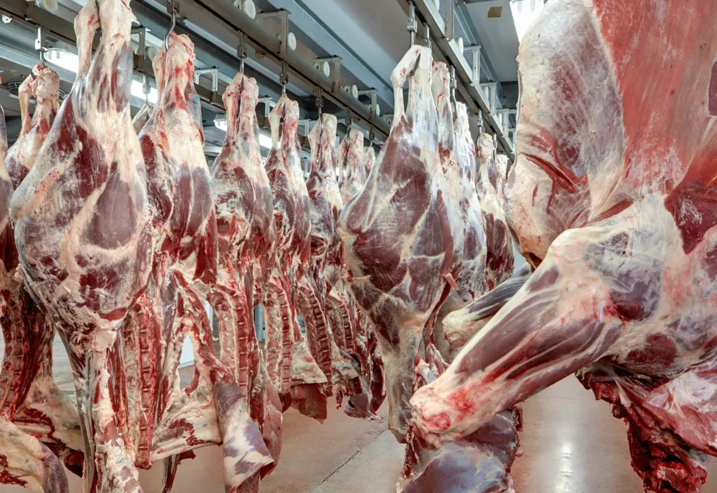 Polski przemysł mięsny – dwie dekady transformacji w Unii Europejskiej