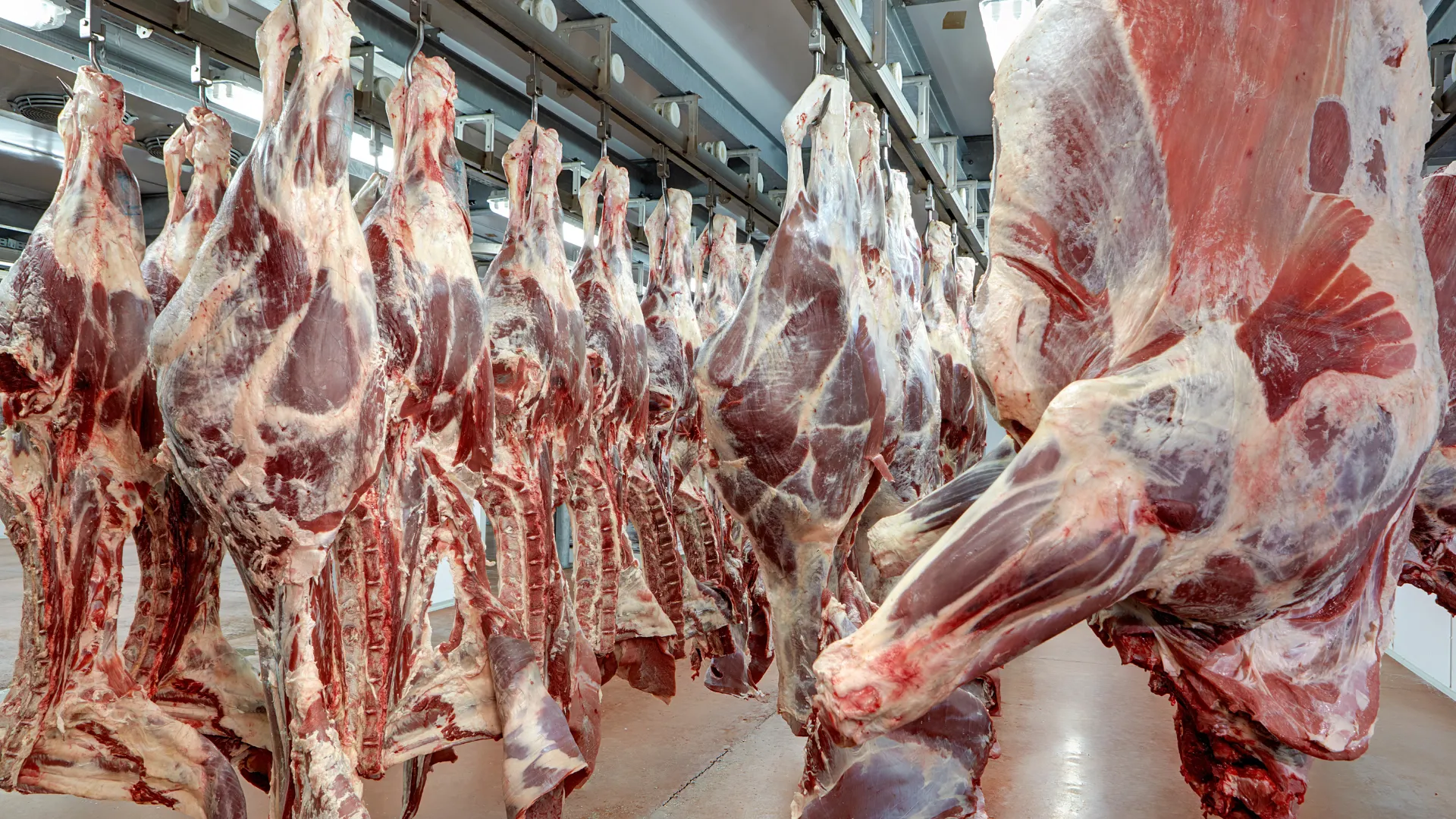 Polski przemysł mięsny – dwie dekady transformacji w Unii Europejskiej