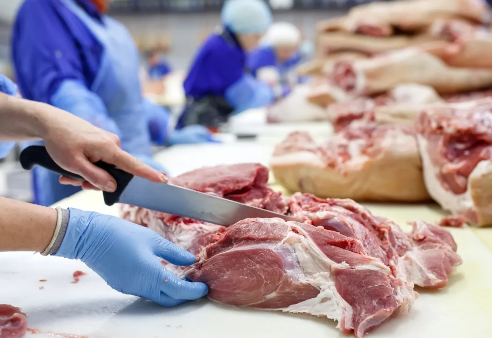 Praca w przetwórstwie mięsnym – dlaczego tak trudno znaleźć pracowników i jak może pomóc outsourcing procesowy?