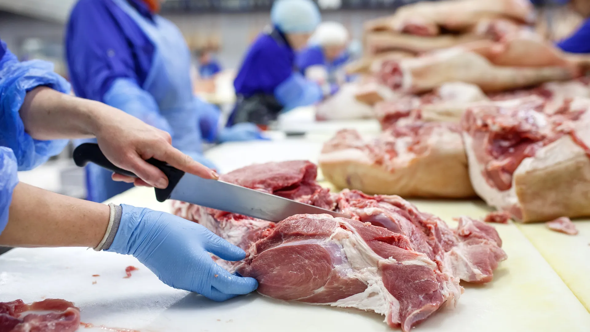 Praca w przetwórstwie mięsnym – dlaczego tak trudno znaleźć pracowników i jak może pomóc outsourcing procesowy?
